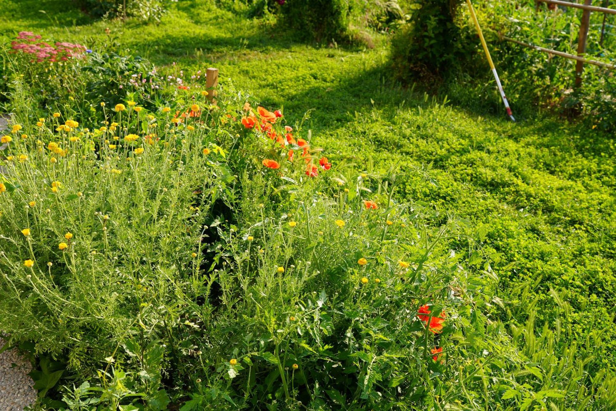 Les Jardins De Felicie Villa Poses Екстериор снимка
