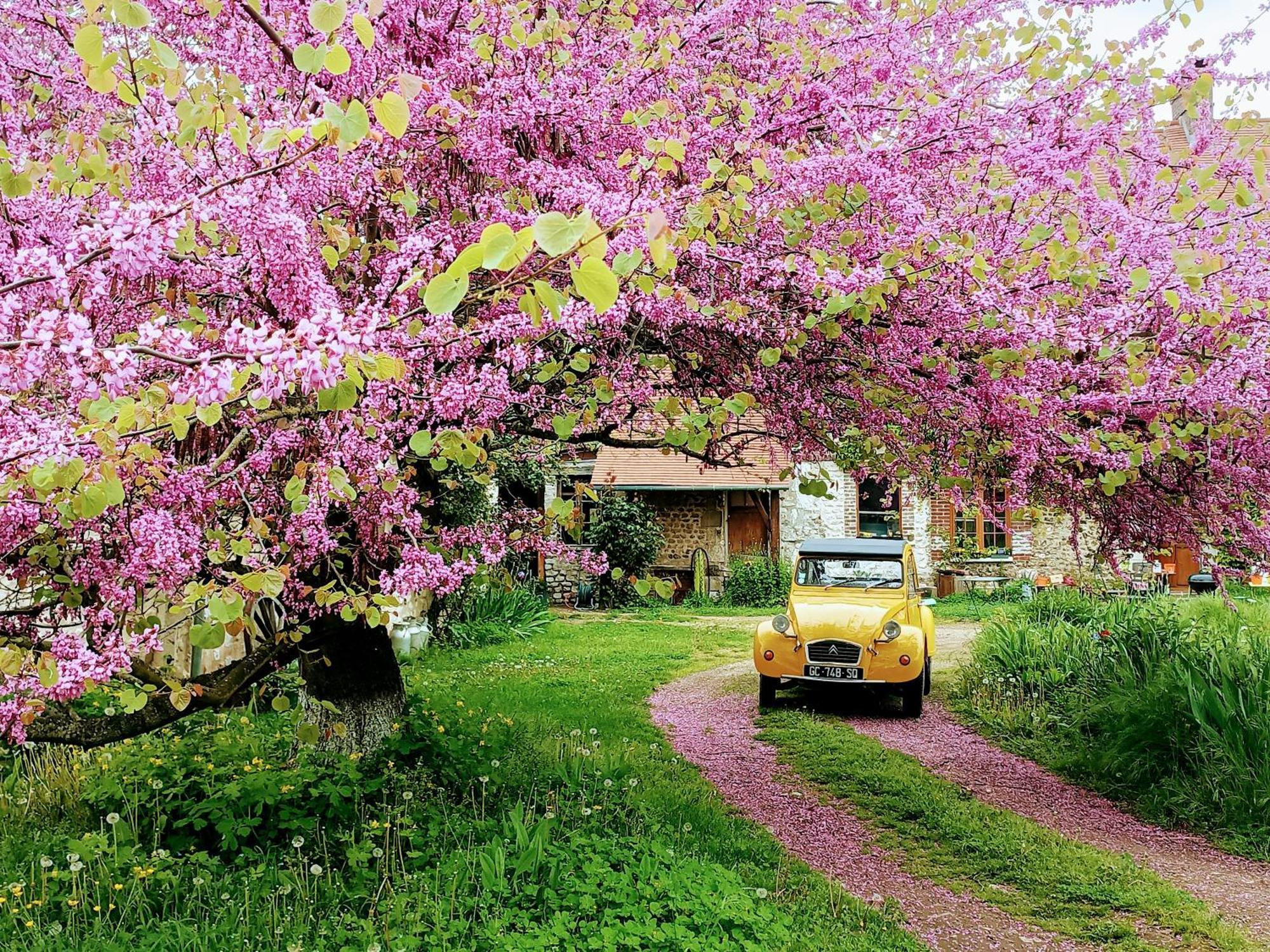 Les Jardins De Felicie Villa Poses Екстериор снимка
